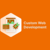Custom Website Development in Texas
