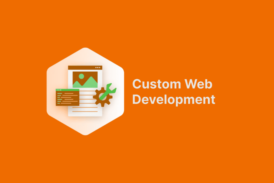 Custom Website Development in Texas